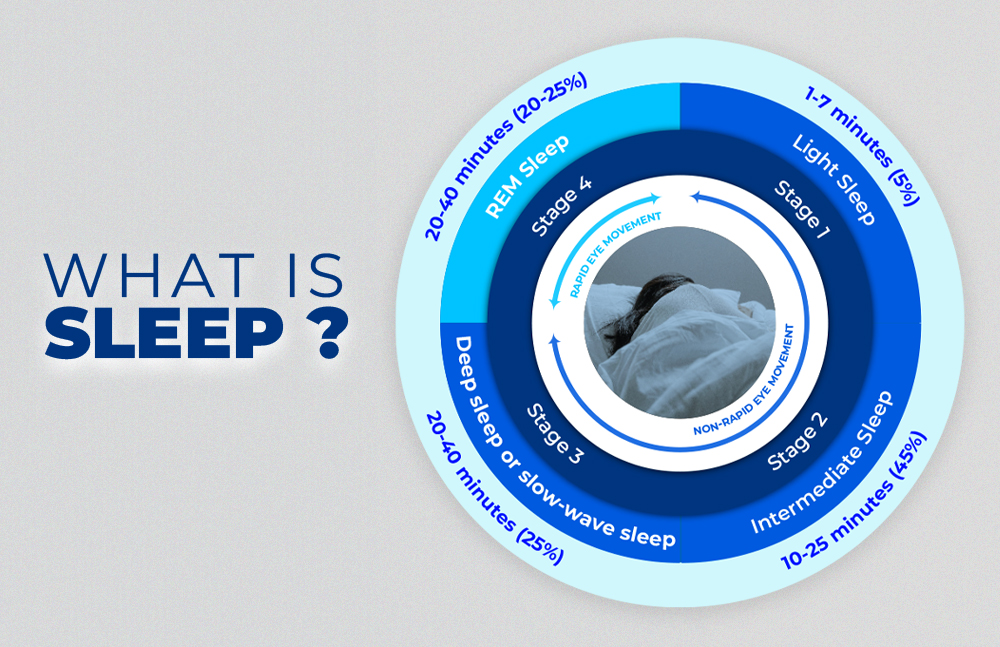 what-is-sleep-cycle